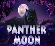 Игровой автомат Panther Moon онлайн Игровой автомат Panther Moon
